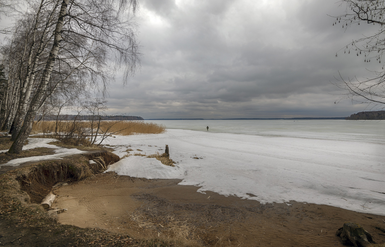 Учинское водохранилище пушкино. Суходольский залив Учинское водохранилище. Учинское водохранилище Суходольский залив рыбалка. Суходольский залив пляж. Водохранилище Пушкино фото.