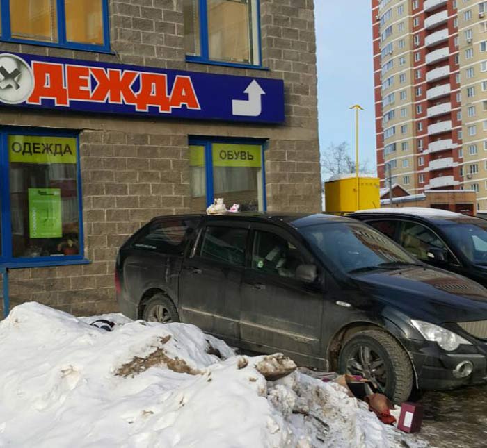 Домохозяйка из города Пушкино выкинула пылесос и гладильную доску в окно многоквартирного дома.