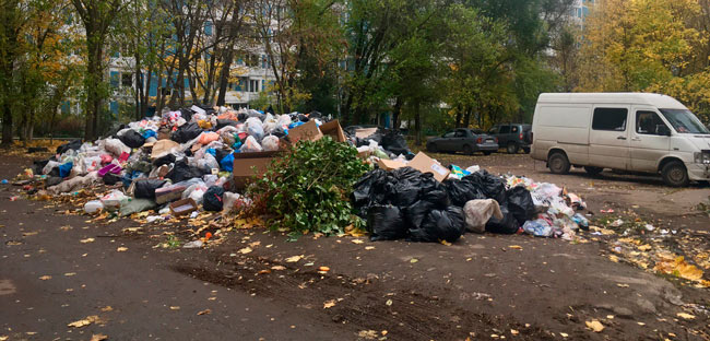 Вывоз мусора в Пушкино обещают наладить к концу октября.