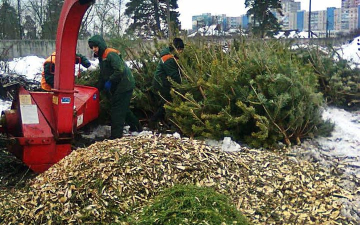 В Пушкино новогодние ели можно сдать в компанию «Экон» по адресу: ул. Учинская д. 23-а 