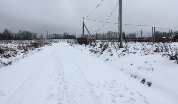 Представители Общественной палаты Пушкинского района проверили дорогу в деревне Григорково, по обращению инициативной группы многодетных семей.