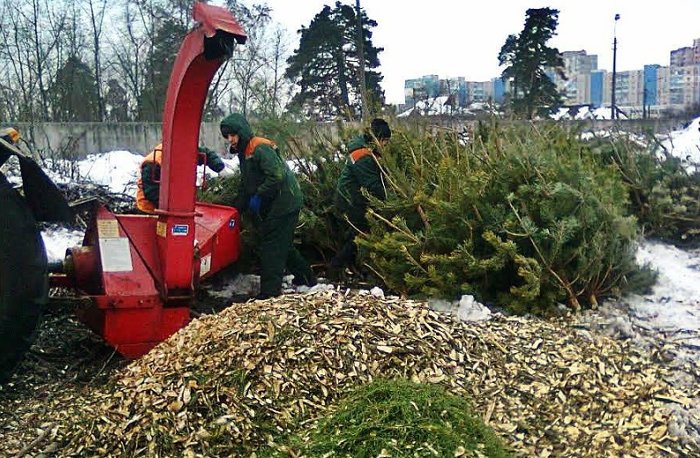 В Пушкино новогодние ёлки можно сдать в пункте вторсырья.