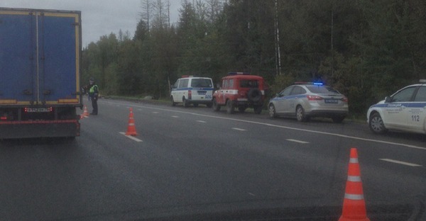 В Пушкинском районе в результате ДТП погибло четыре человека.