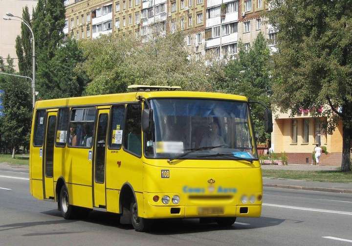 В Пушкинском районе планируют модернизировать маршрутную сеть 