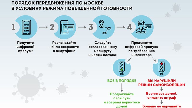 Москва и Подмосковье вводит электронные пропуска на поездки на транспорте.