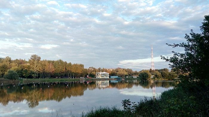 В Пушкино водоканал прикрыл трубу для сброса сточных вод в реку.