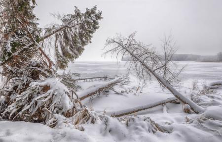 Учинское  водохранилище