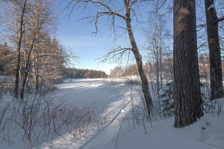 Абрамцево