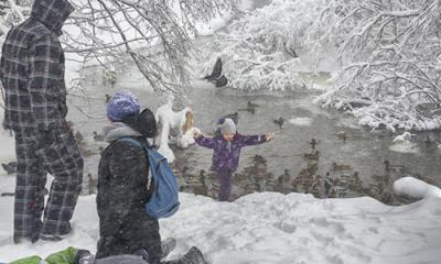 Фотогалерея Пушкино - Альбом Жанр