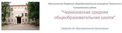 МБОУ Черкизовская средняя общеобразовательная школа Пушкинского района