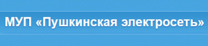 Пушкинская электросеть