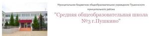 МБОУ средняя общеобразовательная школа №3 Пушкино